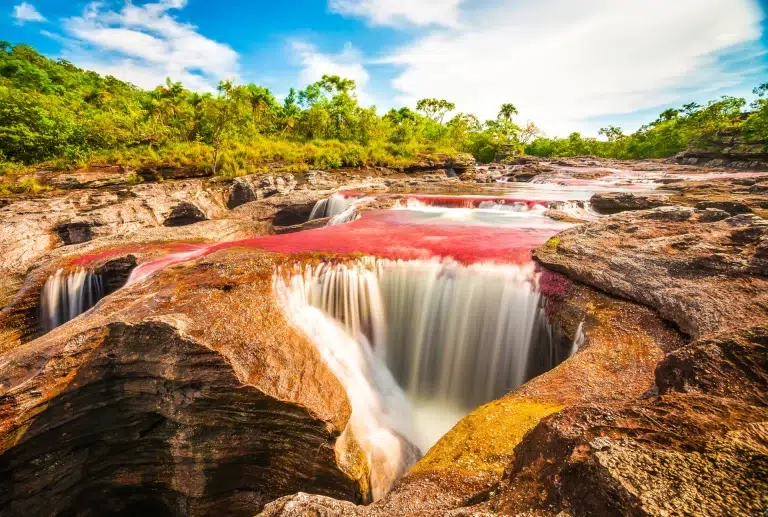 Colombia, Cano Cristales 1